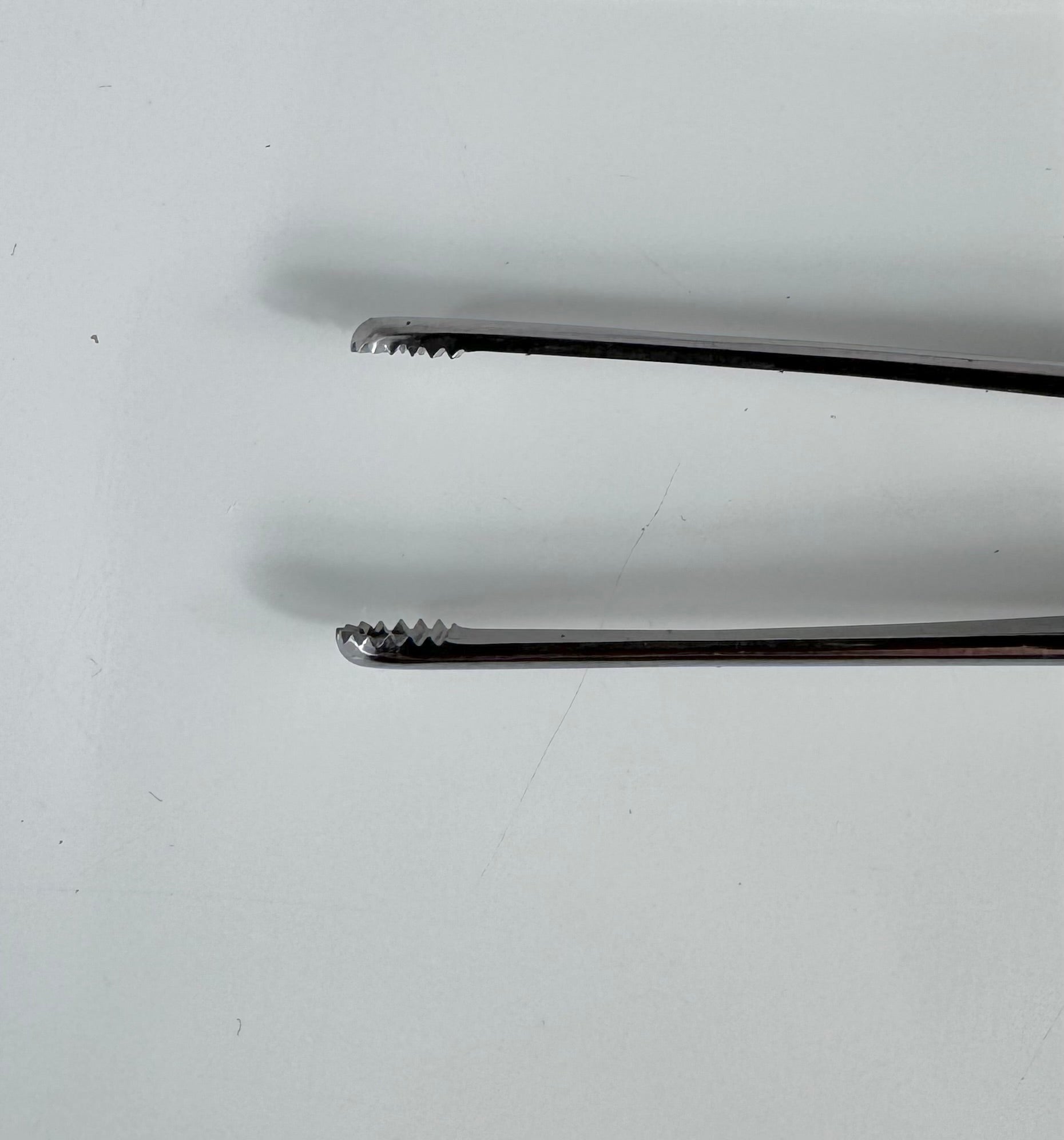 V. Mueller SU2450 Russian Tissue Forceps | 6" Surgical Grade Stainless