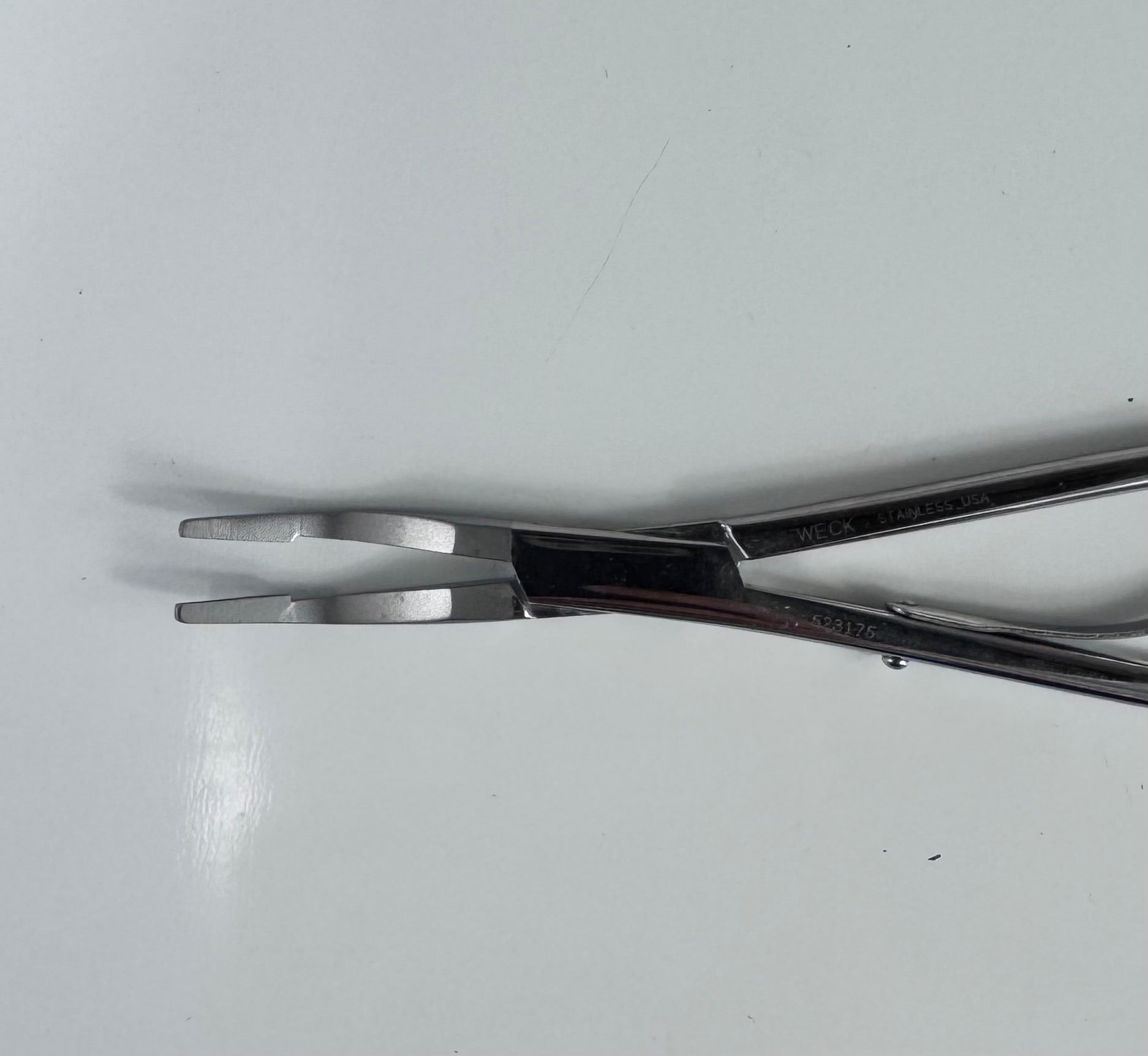 Weck 523175 Tissue Forceps | Stainless Steel, Surgical-Grade