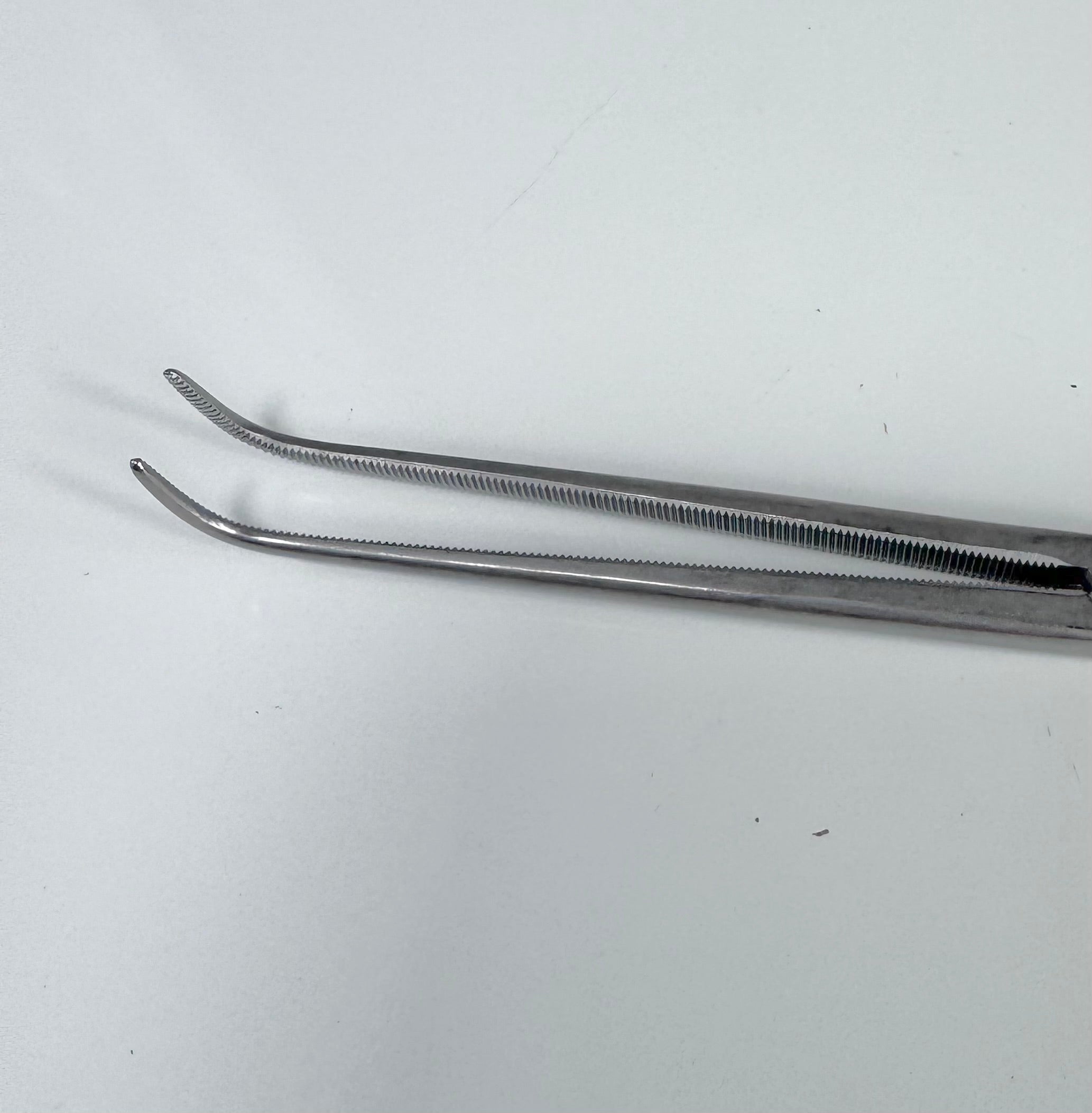 Aesculap BJ106R Gemini Right Angle Forceps | 11", Curved, Serrated